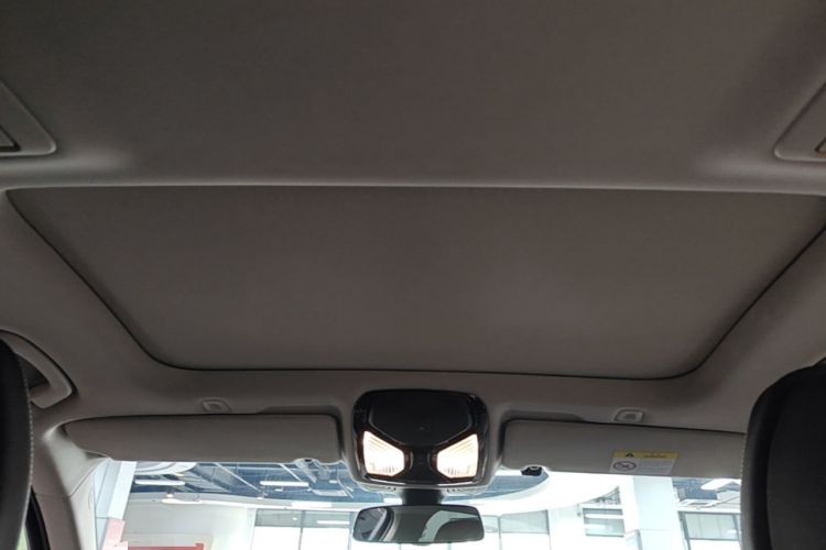 Used BMW 5 Series 2021 Updated 530Li Luxury Package Premium Edition Headliner