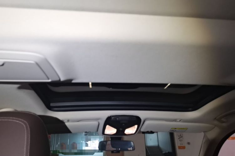 Used BMW 5 Series 2021 530Li Leading Luxury Package Headliner