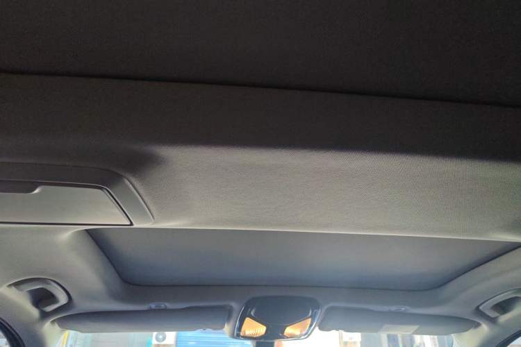 Used BMW 5 Series 2021 530Li Luxury Edition Premium Package Headliner