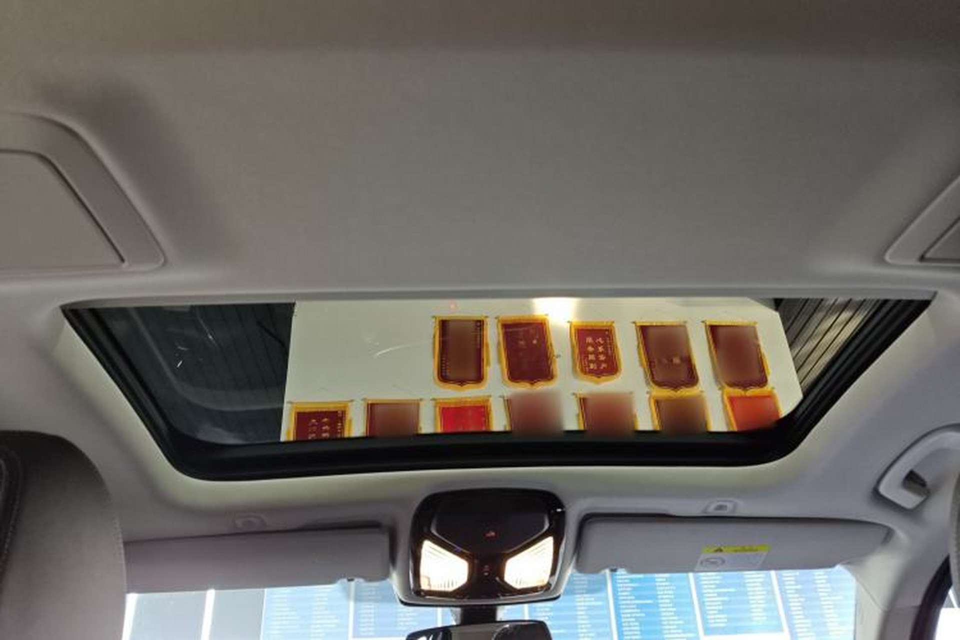 Used BMW 5 Series 2021 530Li xDrive Luxury Package Headliner