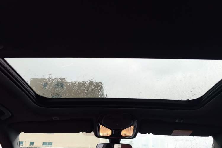 Used BMW 5 Series 2021 530Li Leading Model M Sport Package Headliner