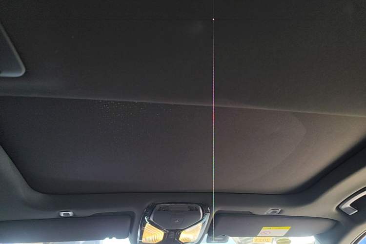 Used BMW 5 Series 2021 530Li Leading Model M Sport Package Headliner