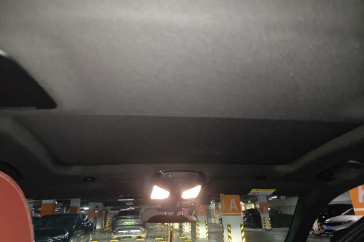 Used BMW 5 Series 2021 530Li Leading Model M Sport Package Headliner