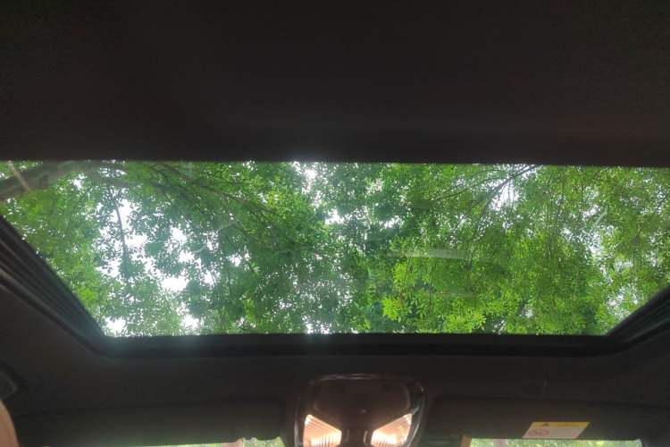 Used BMW 5 Series 2021 525i M Sport Package Headliner