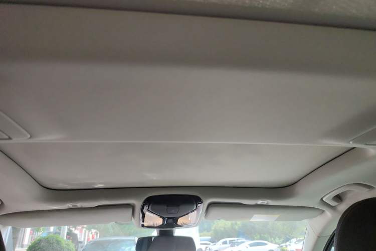 Used BMW 5 Series 2021 530Li Leading Luxury Package Headliner