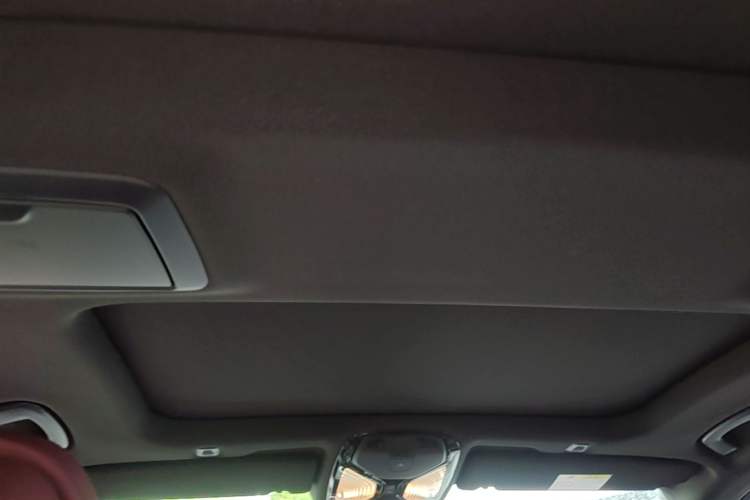 Used BMW 5 Series 2021 530Li Luxury Edition M Sport Package Headliner