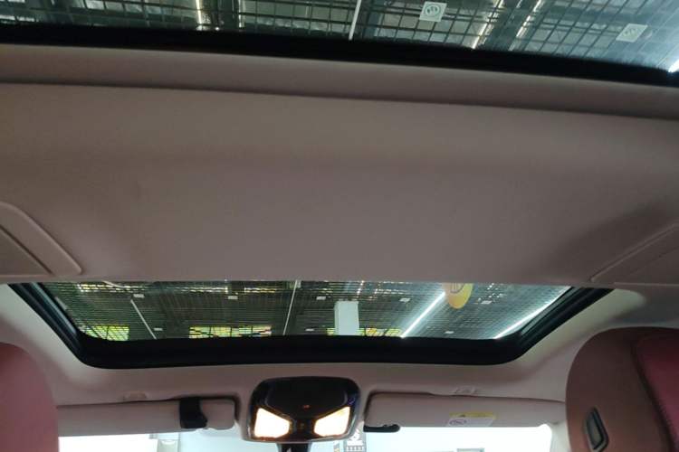 Used BMW 5 Series 2021 530Li Leading Luxury Package Headliner