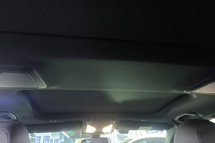 Used BMW 5 Series 2021 530Li Leading Model M Sport Package Headliner