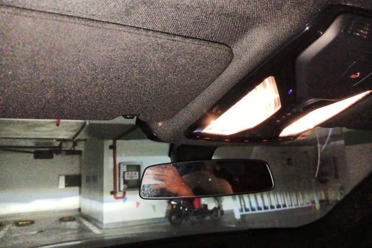 Used BMW 5 Series 2021 530Li Leading Model M Sport Package Headliner
