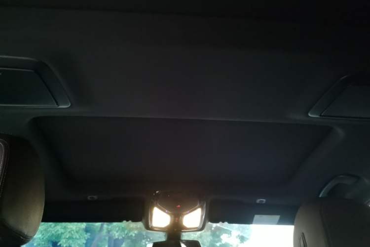 Used BMW 5 Series 2021 Facelifted 530Li Leading Edition M Sport Package Headliner