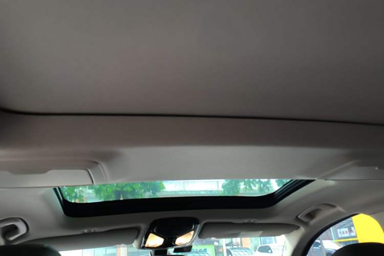 Used BMW 5 Series 2021 530Li Leading Luxury Package Headliner