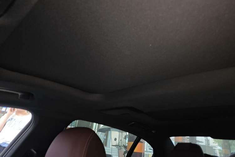 Used BMW 5 Series 2021 Facelifted 530Li Leading Edition M Sport Package Headliner