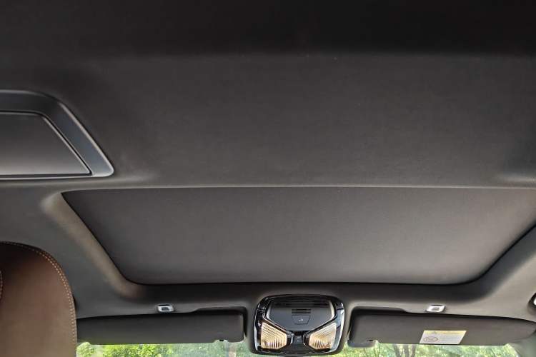 Used BMW 5 Series 2021 Facelifted 530Li Executive M Sport Package Headliner