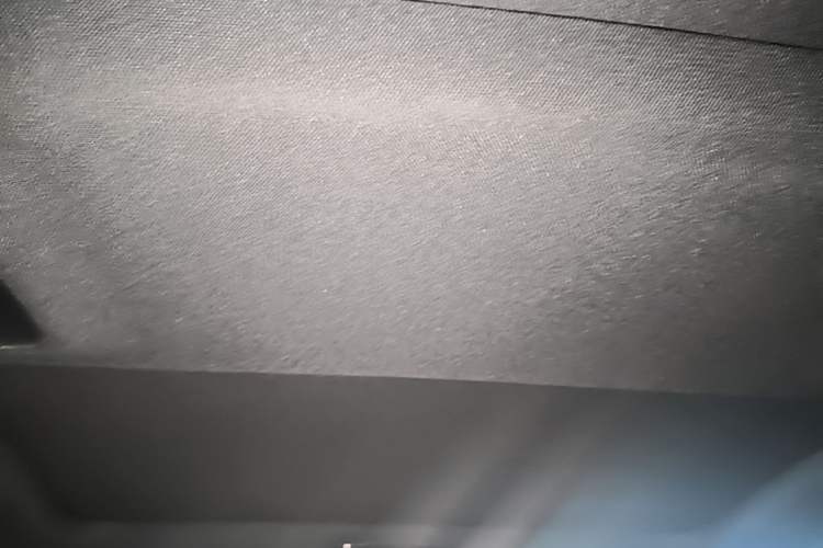 Used BMW 5 Series 2021 530Li Leading Model M Sport Package Headliner