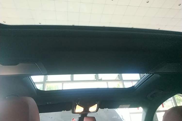 Used BMW 5 Series 2021 530Li xDrive M Sport Package Headliner