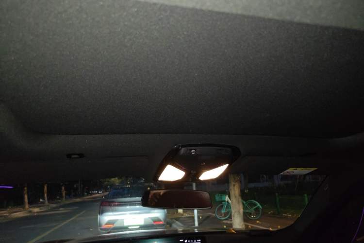 Used BMW 5 Series 2021 530Li Leading Model M Sport Package Headliner
