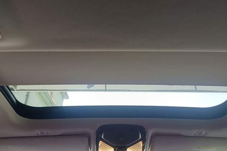 Used BMW 5 Series 2021 530Li Luxury Edition Premium Package Headliner