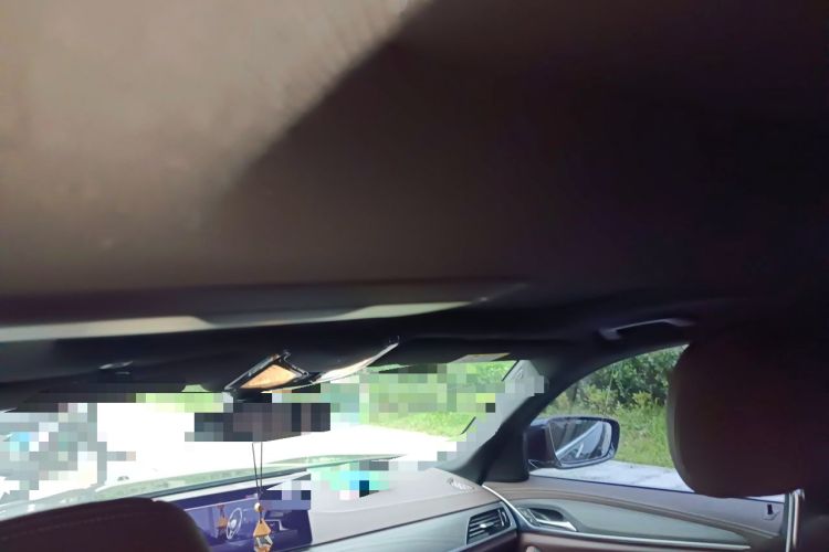 Used BMW 5 Series 2021 530Li Leading Model M Sport Package Headliner