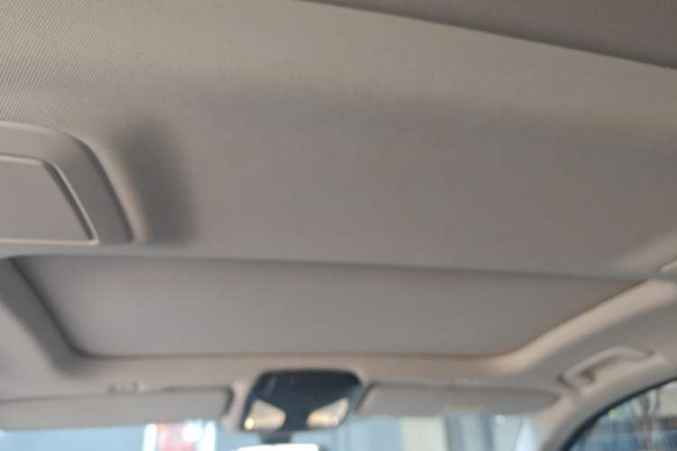 Used BMW 5 Series 2021 530Li Leading Luxury Package Headliner