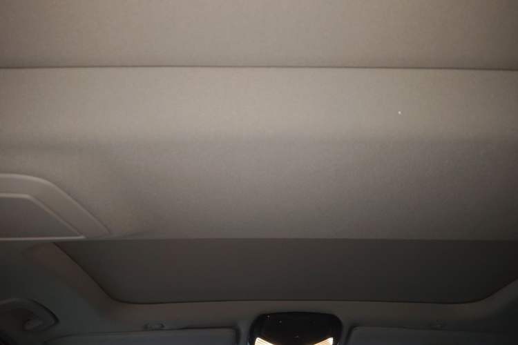 Used BMW 5 Series 2021 530Li Leading Luxury Package Headliner