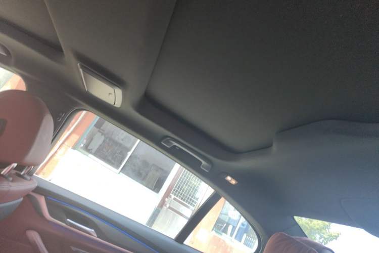 Used BMW 5 Series 2021 530Li Leading Luxury Package Headliner