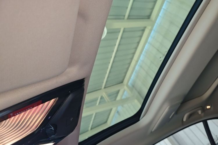 Used BMW 5 Series 2021 530Li Leading Luxury Package Headliner
