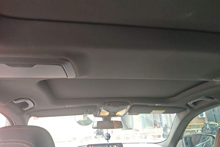 Used BMW 5 Series 2021 530Li Leading Model M Sport Package Headliner