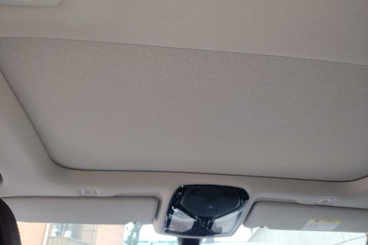 Used BMW 5 Series 2021 530Li Luxury Edition Premium Package Headliner
