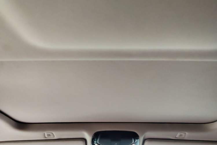 Used BMW 5 Series 2021 Updated Version 525Li Luxury Package Headliner