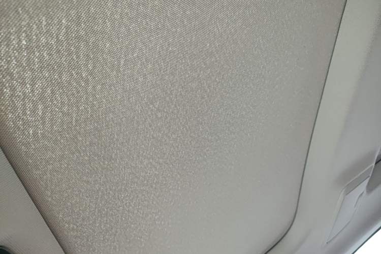 Used BMW 5 Series 2021 530Li Leading Luxury Package Headliner