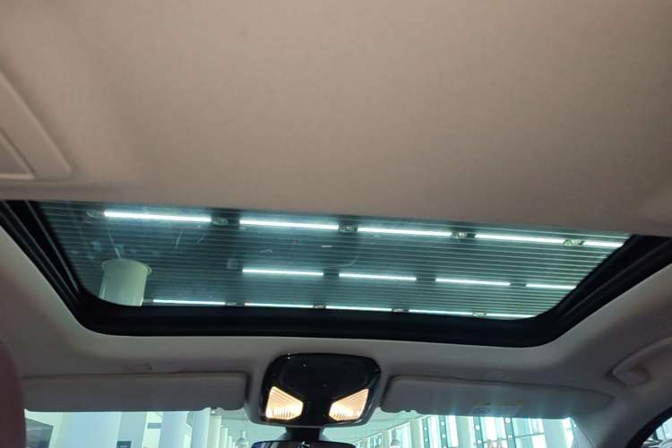 Used BMW 5 Series 2021 530Li Leading Luxury Package Headliner