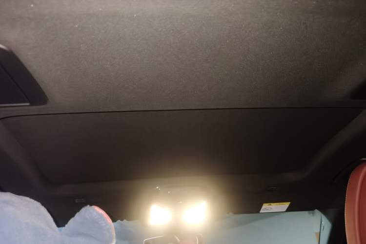 Used BMW 5 Series 2021 530Li Luxury Edition M Sport Package Headliner