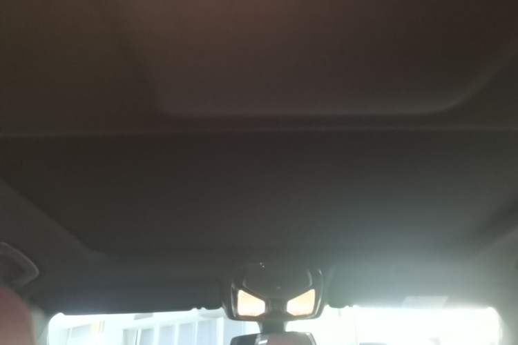 Used BMW 5 Series 2021 Facelifted 525Li M Sport Package Headliner