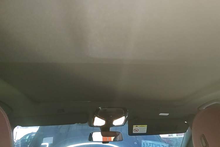 Used BMW 5 Series 2021 Facelifted 525Li M Sport Package Headliner