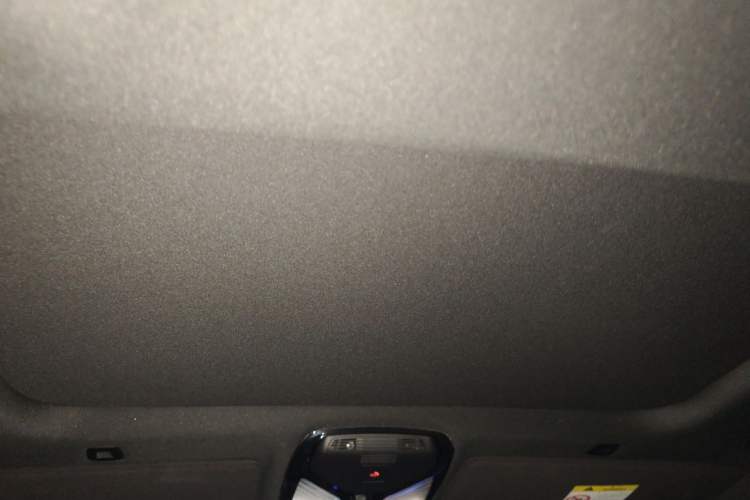 Used BMW 5 Series 2021 530Li Leading Model M Sport Package Headliner