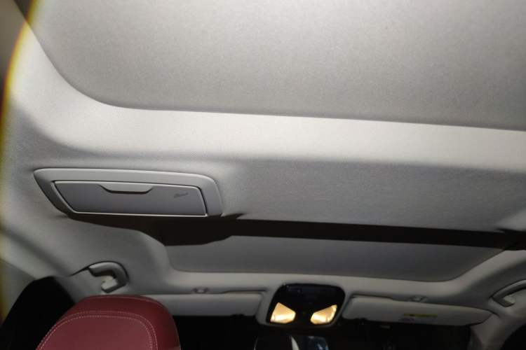 Used BMW 5 Series 2021 Restyled 530Li Leading Edition Luxury Package Headliner