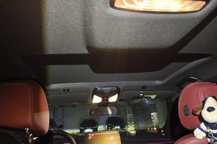 Used BMW 5 Series 2021 525Li M Sport Package Headliner