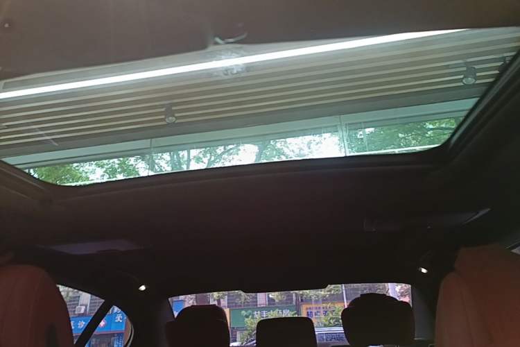 Used BMW 5 Series 2021 530Li Leading Model M Sport Package Headliner