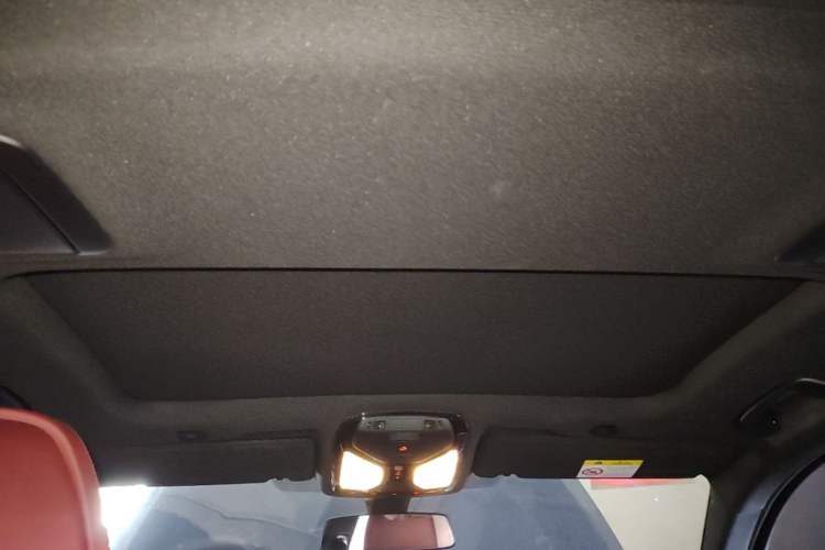 Used BMW 5 Series 2021 530Li Luxury Edition M Sport Package Headliner