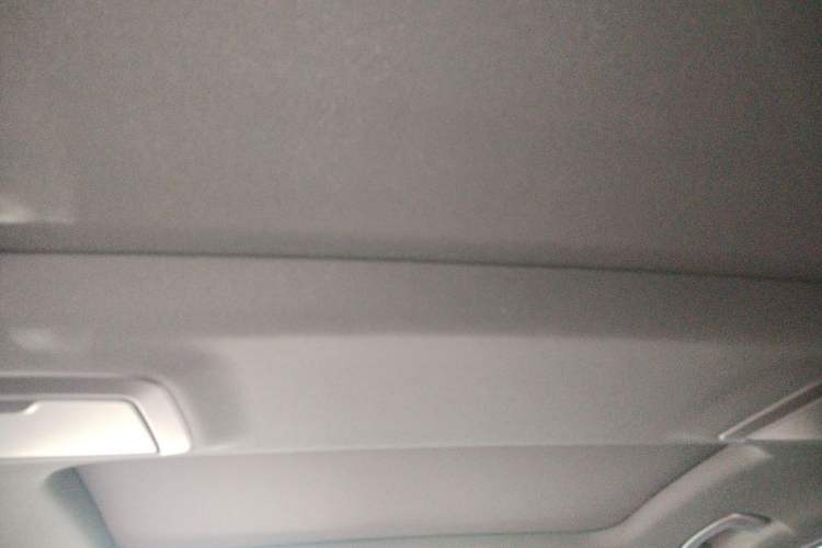 Used BMW 5 Series 2021 530Li Leading Model M Sport Package Headliner