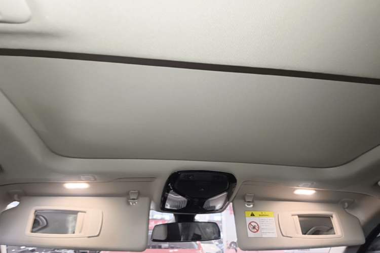 Used BMW 5 Series 2021 530Li Luxury Edition Premium Package Headliner