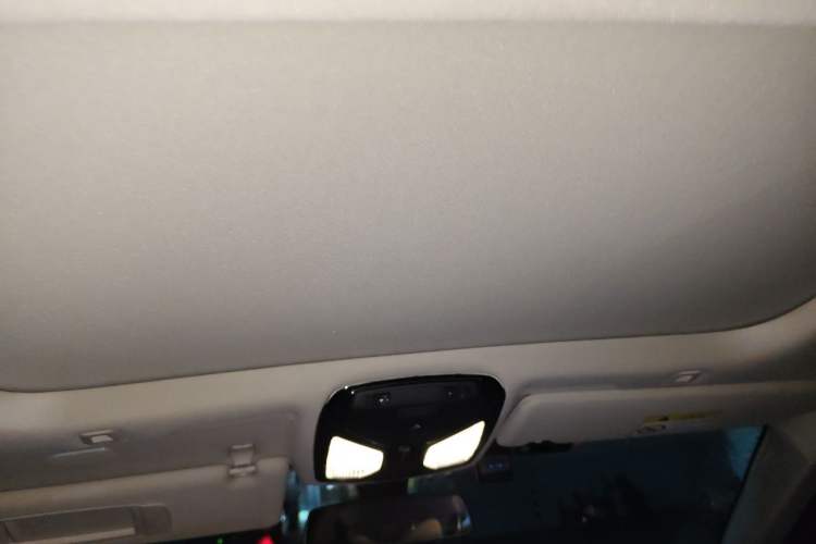Used BMW 5 Series 2021 530Li Luxury Edition Premium Package Headliner