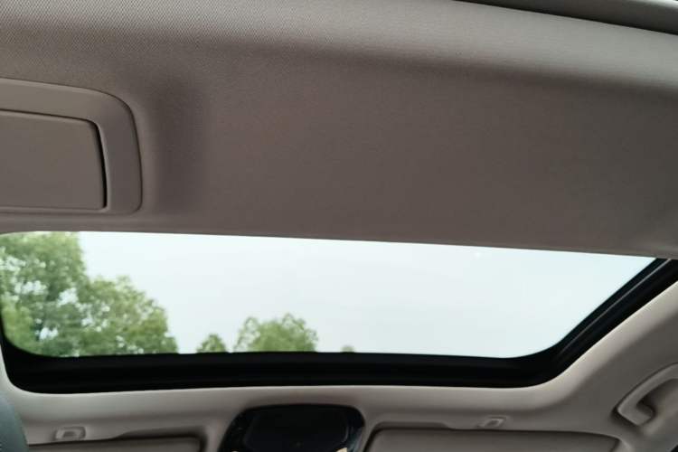 Used BMW 5 Series 2021 530Li Leading Luxury Package Headliner