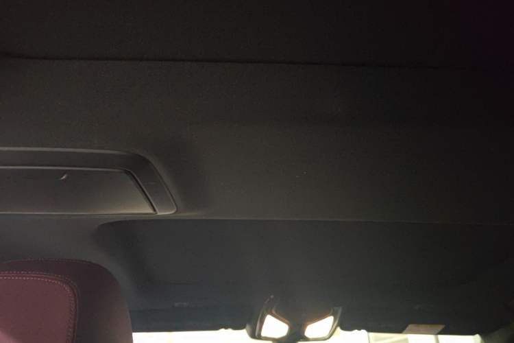 Used BMW 5 Series 2021 530Li xDrive M Sport Package Headliner