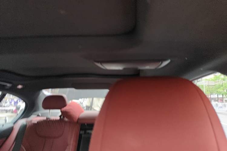 Used BMW 5 Series 2021 530Li Leading Model M Sport Package Headliner