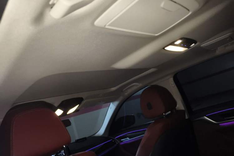 Used BMW 5 Series 2021 525Li Luxury Package Headliner