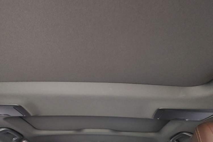 Used BMW 5 Series 2021 530Li Leading Model M Sport Package Headliner