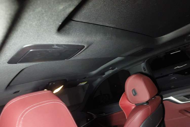 Used BMW 5 Series 2021 530Li Leading Model M Sport Package Headliner