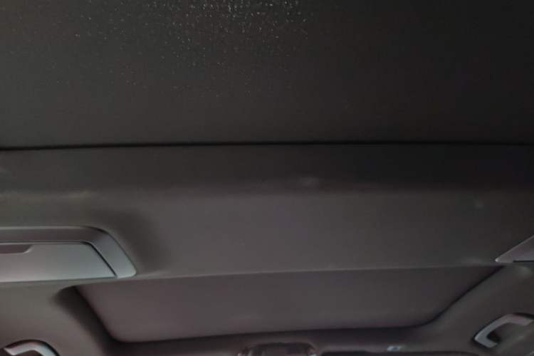 Used BMW 5 Series 2021 530Li xDrive M Sport Package Headliner