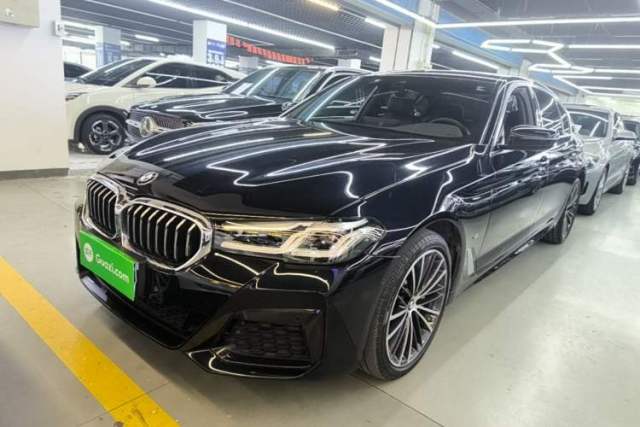 Used BMW 5 Series 2021 530Li Leading Model M Sport Package
